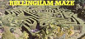 The Bellingham Maze attraction in the Sunshine on the Coast.